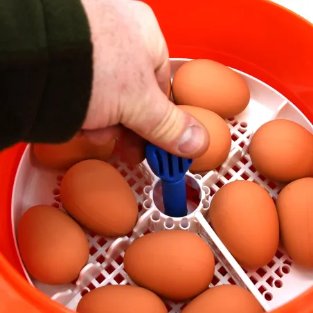 Couveuse automatique Novital Covatutto 16L Pro