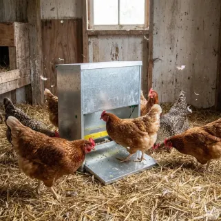 Mangeoire à trémie anti-nuisible tôle galvanisée 14 ou 23 kg