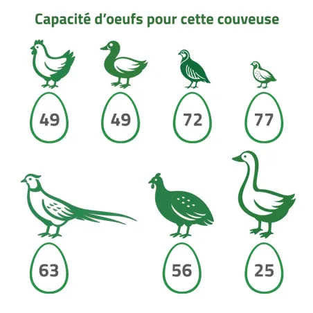 Kit couveuse évo 2 tiroirs poule oie 1 panier + humidificateur