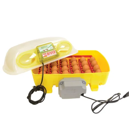 Couveuse 24 œufs Biomaster avec humidificateur Nebula – River Systems