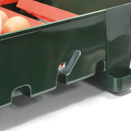 Couveuse Egg Tech 24 + Nébula – Incubation automatisée fiable