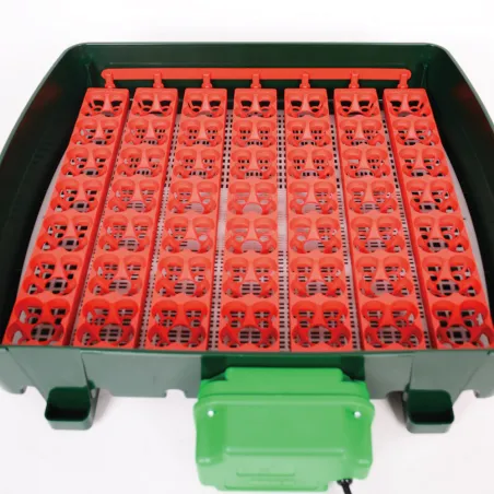 Couveuse automatique River System Egg Tech 49 oeufs