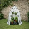 Serre d'hivernage dôme transparente protection plantes hiver