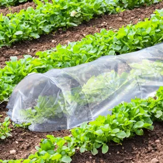 Tunnel de culture 3m pour potager - Serre jardin protection