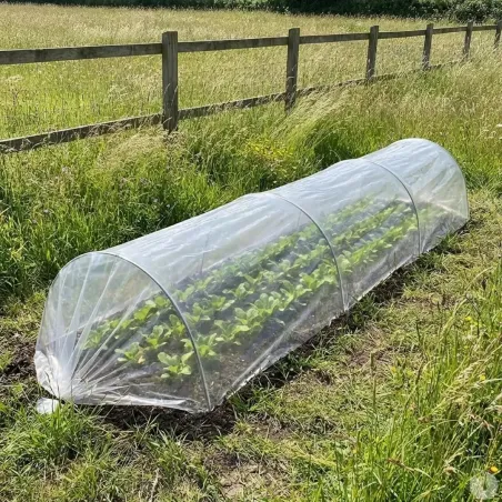 Tunnel de culture 3m pour potager - Serre jardin protection