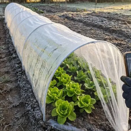 Tunnel de culture 3m pour potager - Serre jardin protection