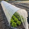 Tunnel de culture 3m pour potager - Serre jardin protection