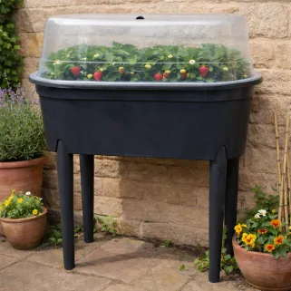 Serre de culture sur pieds noire 77 X 40 X 83 cm