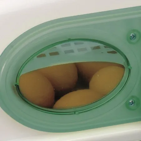 Couveuse semi automatique 24 oeufs (River Systems Egg Tech 24)