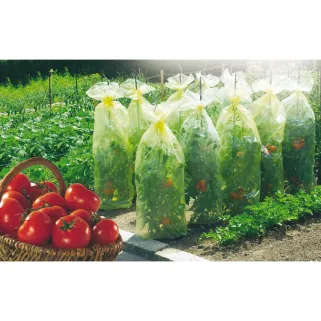 Housse croissance avec liens tomates gaine de forçage polyéthylène jaune traité anti-U.V