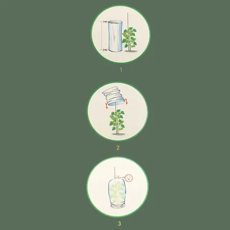 Housse croissance avec liens tomates gaine de forçage polyéthylène jaune traité anti-U.V