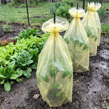 Housse croissance avec liens tomates gaine de forçage polyéthylène jaune traité anti-U.V