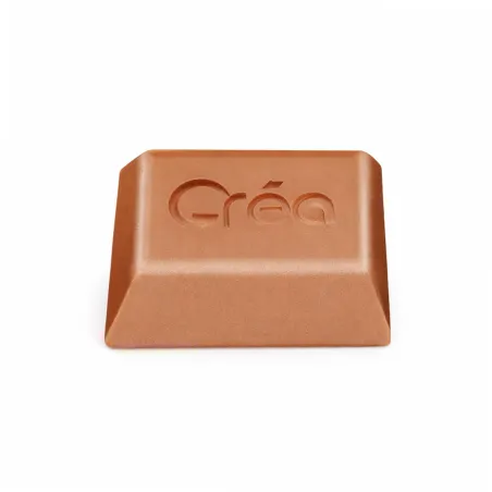 Kit Piège à Phéromones contre les Punaises Diaboliques - Décamp