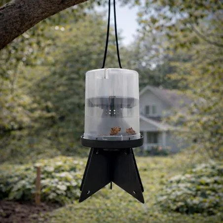 Kit Piège à Phéromones contre les Punaises Diaboliques - Décamp