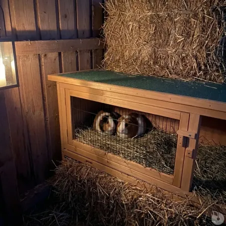 Abri petits animaux et rongeurs FRED