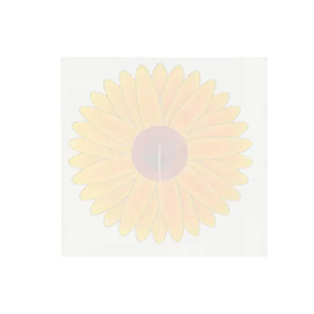 4 Pièges à mouche adhésif sans produits chimiques 9,5 x9,5cm