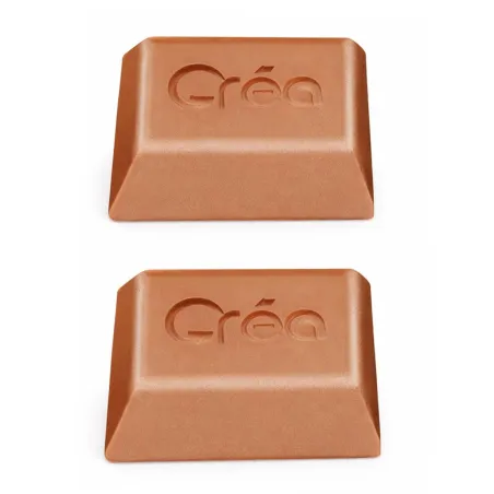 Phéromones contre ver pomme poire noix 2 capsules