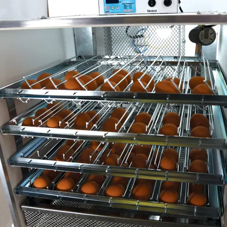 Couveuse automatique Maino Mini Pro 196 Digitale