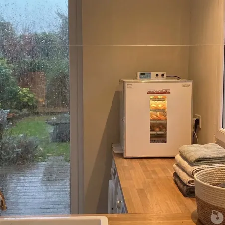 Couveuse automatique Maino Mini Pro 196 Digitale