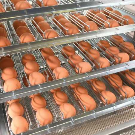 Couveuse automatique Maino Mini Pro 196 Digitale