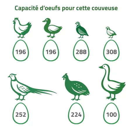 Couveuse automatique Maino Mini Pro 196 Digitale