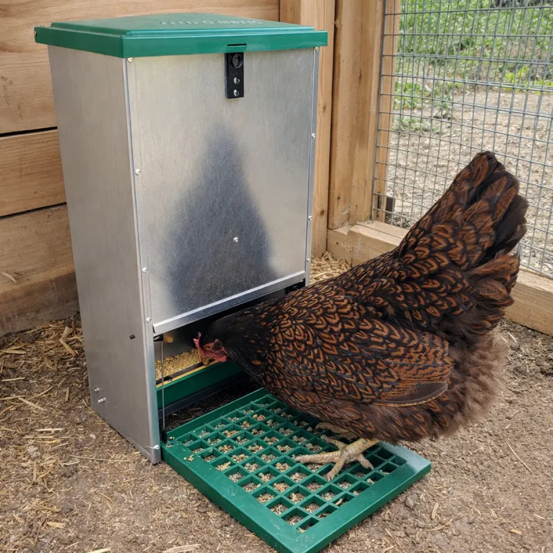 Mangeoire poules canards à trémie anti nuisibles Olba Feedomatic 12kg