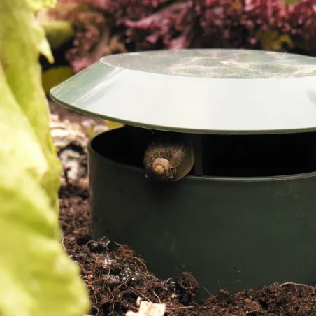 Anti-limaces/escargots ( lot 2 piéges)