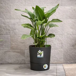 Pot plastique recyclé Ø 22 cm Hauteur 30 cm avec réservoir d’eau