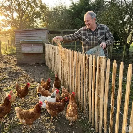 Ganivelle en Châtaignier - Longeur 10m x Hauteur 1,20m - Espacement 6-7cm