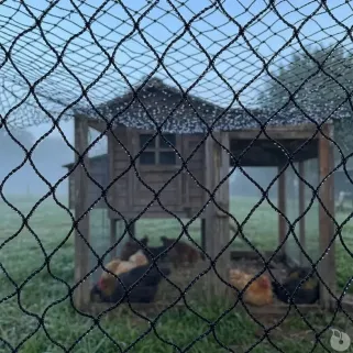 Filet de volière maille 22 mm – 5x50m