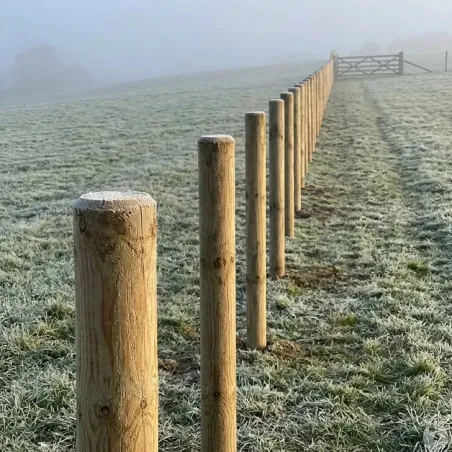 Lot de 10 poteaux Ø 8 cm H. 2,5 m classe 4 – Clôture robuste