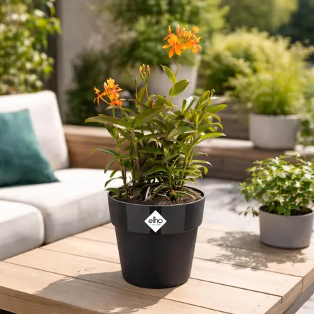 Pot plastique diamètre 22 cm hauteur 20cm noir Elho
