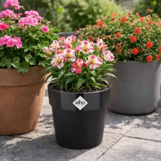 Pot plastique diamètre 22 cm hauteur 20cm noir Elho