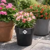 Pot plastique diamètre 22 cm hauteur 20cm noir Elho