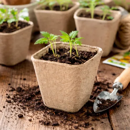 24 Pots Biodégradables Carrés 8 cm pour Semis