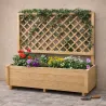 Carré potager ou jardinière rectangulaire avec treillis