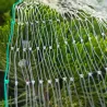 Filet de Protection Anti-Oiseaux 8x10m - Maille 15x15mm en Nylon Résistant