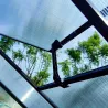 Serre de jardin en aluminium avec polycarbonate 4 mm - 235x177x192 cm