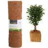 Tapis de Paillage Fibre de Coco Biodégradable 150x50 cm 