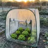 Serre pop-up 100x100x100cm jardin protection plantes