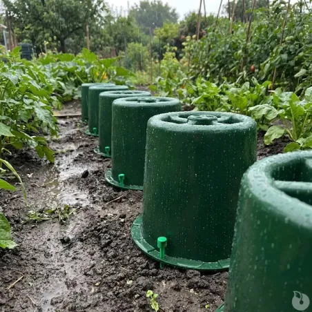 Cloche à blanchir + 2 piquets offerts Modul'O