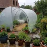 Serre de jardin essentielle Largeur 3 x 4.50 m