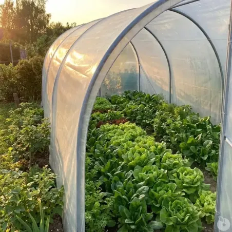 Serre de jardin essentielle Largeur 3 x 4.50 m