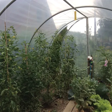 Serre de jardin essentielle Largeur 3 x 6 m