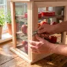 Garde-manger en hêtre 40 cm – Conservation fruits & légumes compacte | Ducatillon