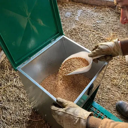 Abreuvoir métal galvanisé 30 L + Mangeoire à trémie anti nuisibles Feedomatic 20kg