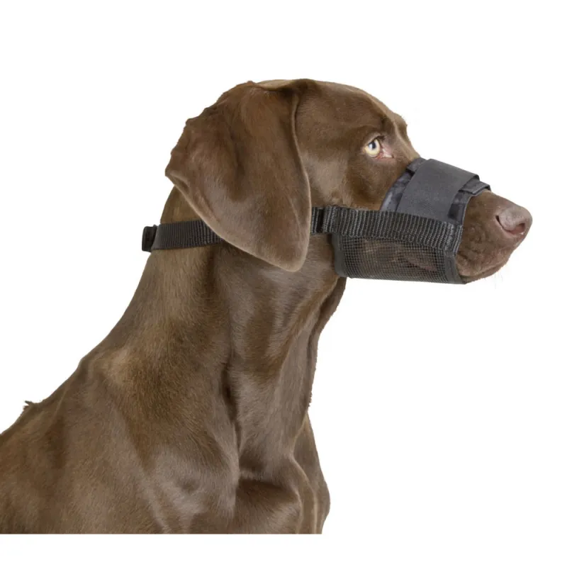 Muselière pour chien en nylon