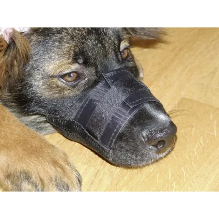 Muselière pour chien en nylon