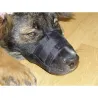 Muselière pour chien en nylon