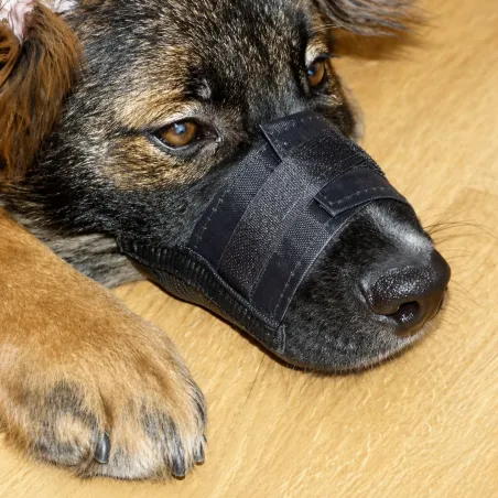 Muselière pour chien en nylon